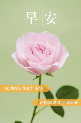 最新的《生活在别处》经典语句大全