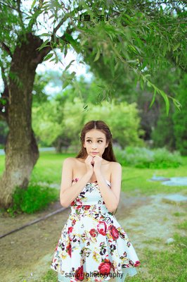 最经典的《樱花落海洋2》经典语句大全