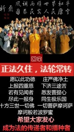最新的《佛，空性之心》佳句摘抄