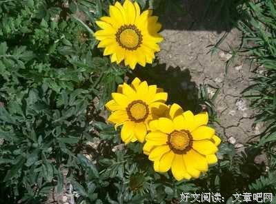 终于等到女神离婚的男人，哭了