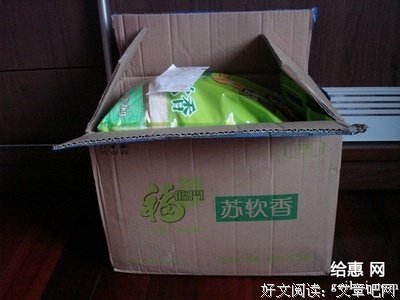 关于苏软的语句