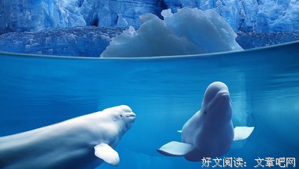 关于神秘的唯美语录
