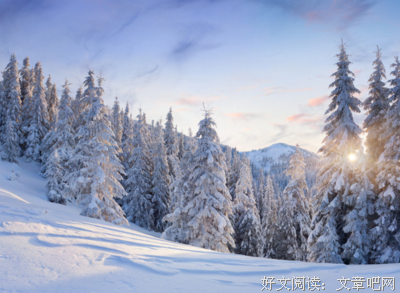 关于冬他开后的水的暖阳的优美句子