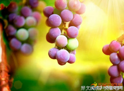 关于思绪的优美句子