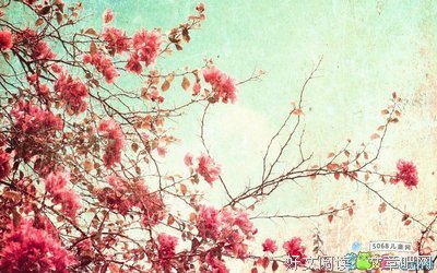 作家的优美句子