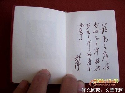 最全的包小鱼精彩语录