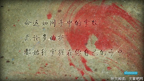 有关魏晨的名言