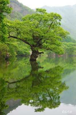 最经典的《妄想照进现实》经典名句大全