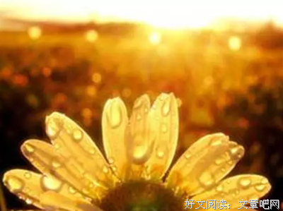 《金色花的秘密》好段摘抄大全