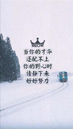 最全的《时间的朋友2016》经典句子