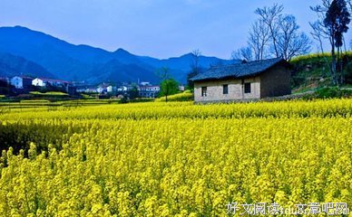 《一个人的好天气》语录摘抄大全