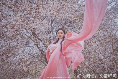最全的《三生三世枕上书》小说摘抄大全