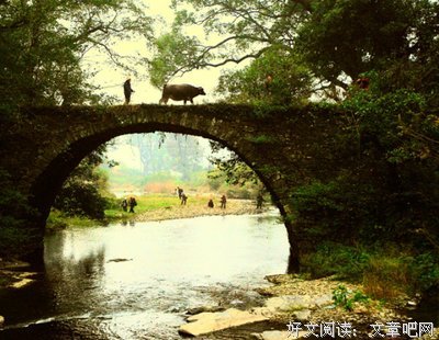 最经典的《当时只道是寻常》经典名句大全