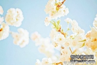最全的《恰到好处的幸福》经典的句子