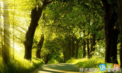 优美句子大全