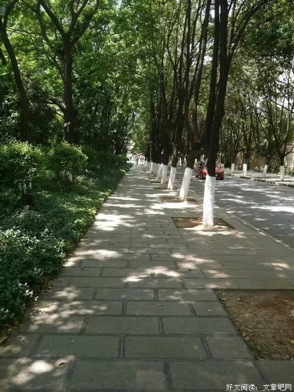 匆匆一上年名句欣赏