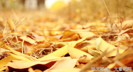 关于青春的优美句子