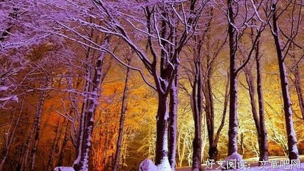 关于致是眼学格的优美句子