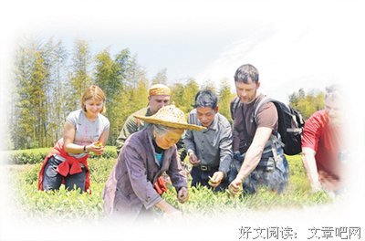 关于叶倾城名言