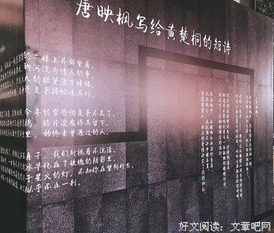 唐映枫的名言