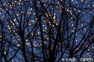 最经典的夏天岛精彩语录