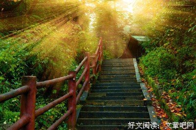 关于小寒鸦座右铭