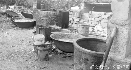 杨路：有的人会污染你的内心，他们不会