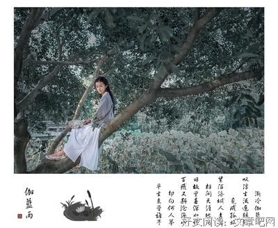 最全的《细雨喃喃 伽蓝雨》经典的句子