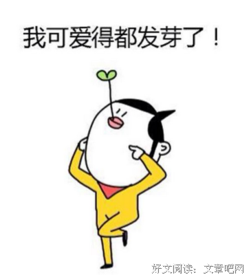 最全的《我的职业是小说家》经典的句子大全