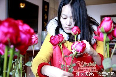《穿越网王之音飘零》语录摘抄大全
