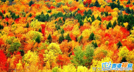 最新的《你只是看起来很努力》经典语句大全