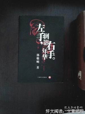 《左手倒影，右手年华》小说摘抄