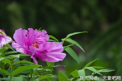 《和你在一起，我很高兴》经典名句