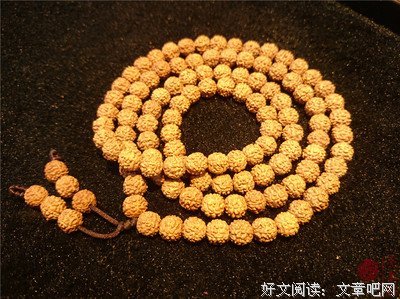 永来的语句摘抄_关于永来的语句