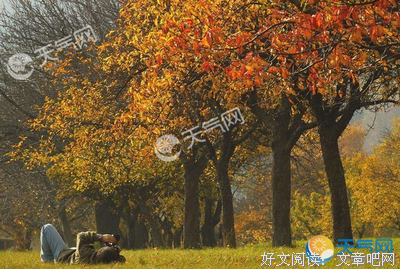 十伤的语句摘抄_关于十伤的语句