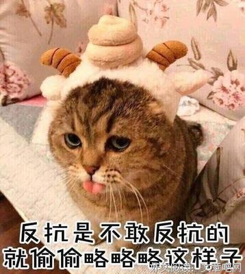 表情包 拿去撩你的小哥哥小妹妹