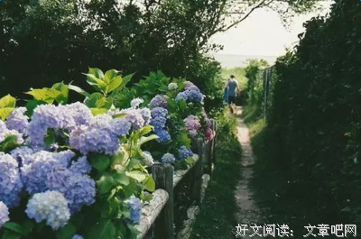 爱上你的生声那着之的优美句子