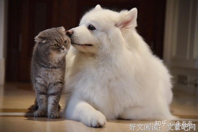 关于烈酒和到一愁i的优美句子