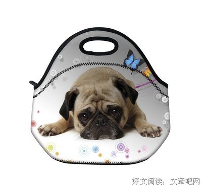 辨析句子大全