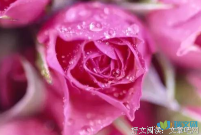 味道优美的句子