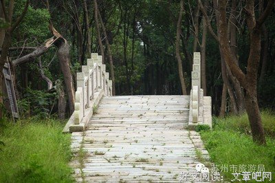 关于爱丽丝没有仙境。的优美句子