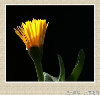 游戏人生经典名句