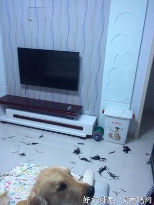 分手后想成功复合，这些事情你非做不可