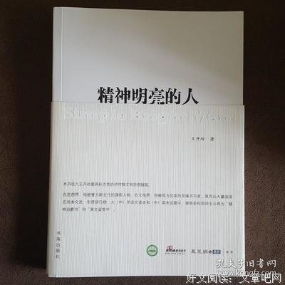 关于王开岭的名言