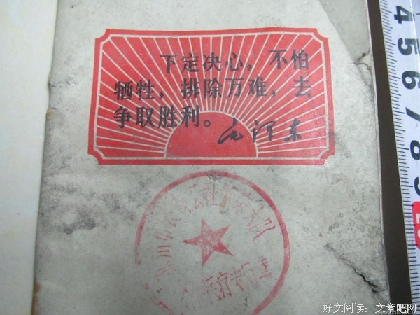 最新的盛世爱精彩语录