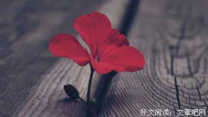 关于李开复名言大全