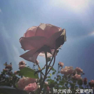 潘云贵的名句