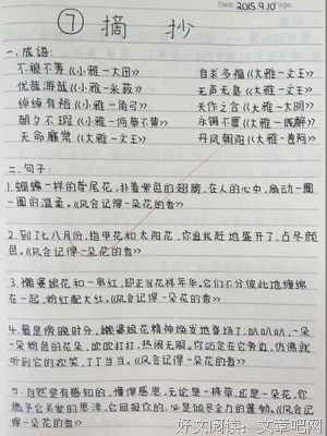最经典的《这一生，静待时光检验》佳句摘抄