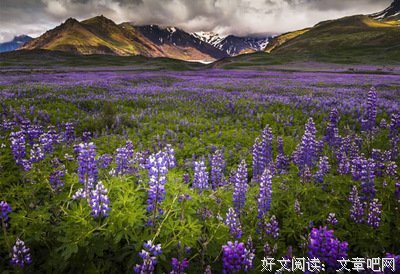 最新的《以自己喜欢的方式过一生》经典语录