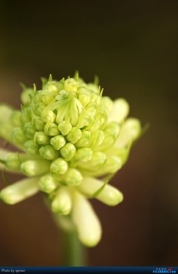 最全的《逆光多自瞬》好段摘抄